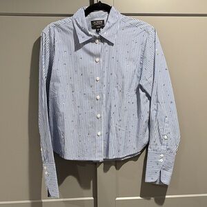 J.Crew Classic Blue and White Striped Shirt